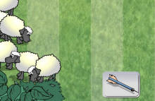 ϥwpC